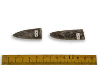 F 04577
<br/>
<br/>
<em></em>